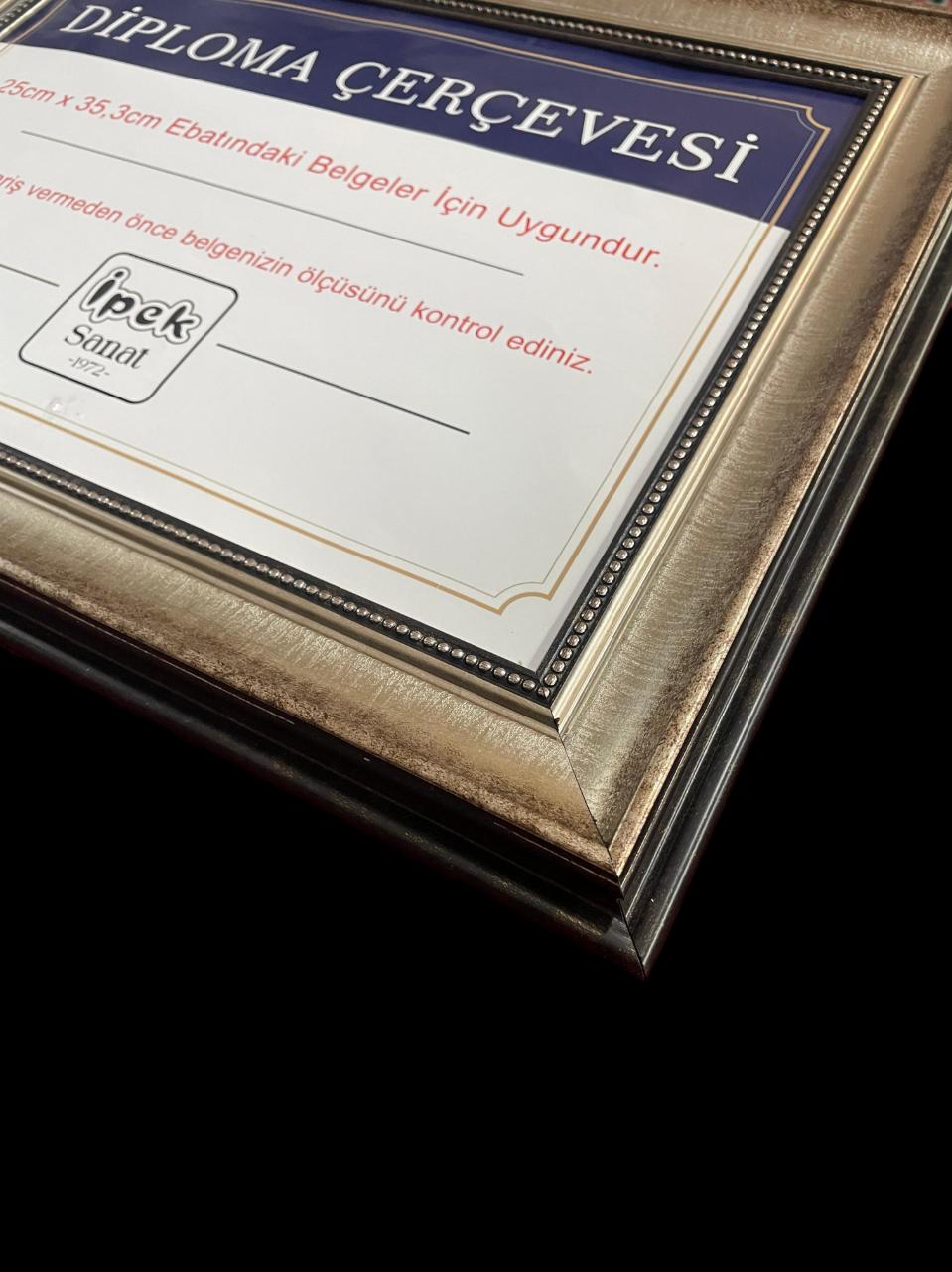 Diploma Çerçevesi 25x35 Boyutta Antik Gümüş 3